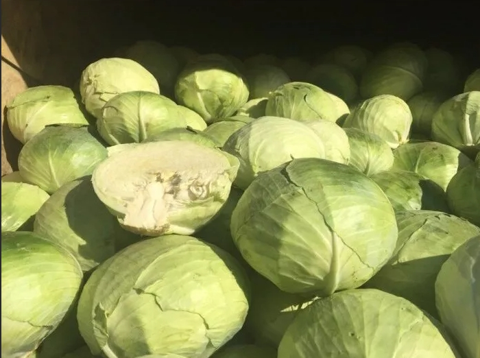 kapusta-kor